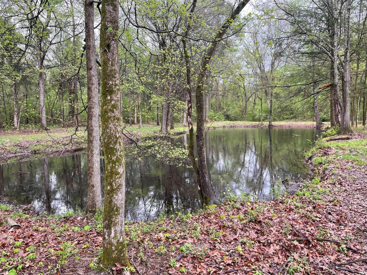 Charming Tiny Home! Close To Oxford, Sardis Lake, Safari Animal Zoo Εξωτερικό φωτογραφία